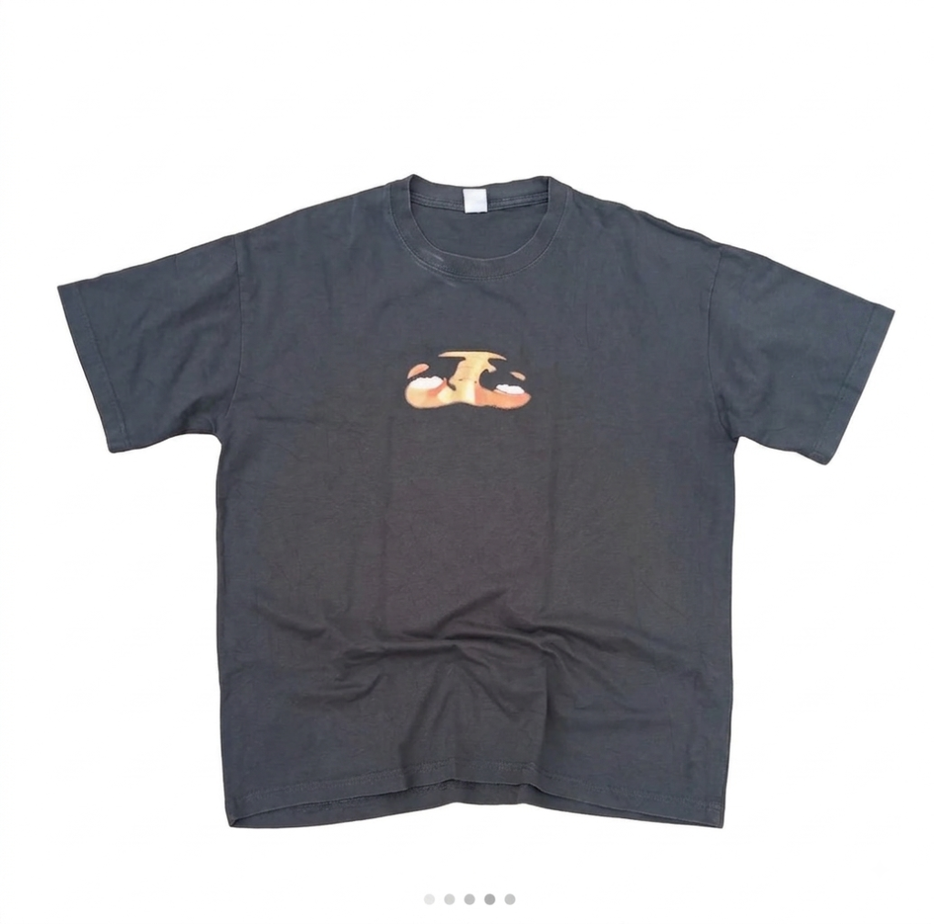 Grey Printed t-shirt Front